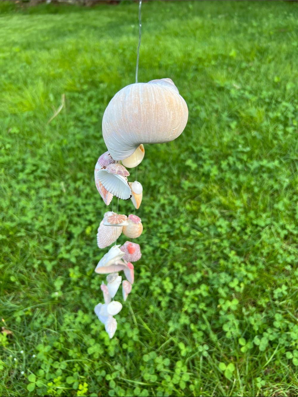 Handmade Seashell Wind Chime - Natural Shells - Picture 8 of 10